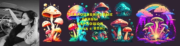 амф Алзамай